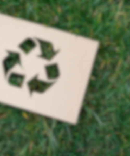 Company Recycling Initiatives